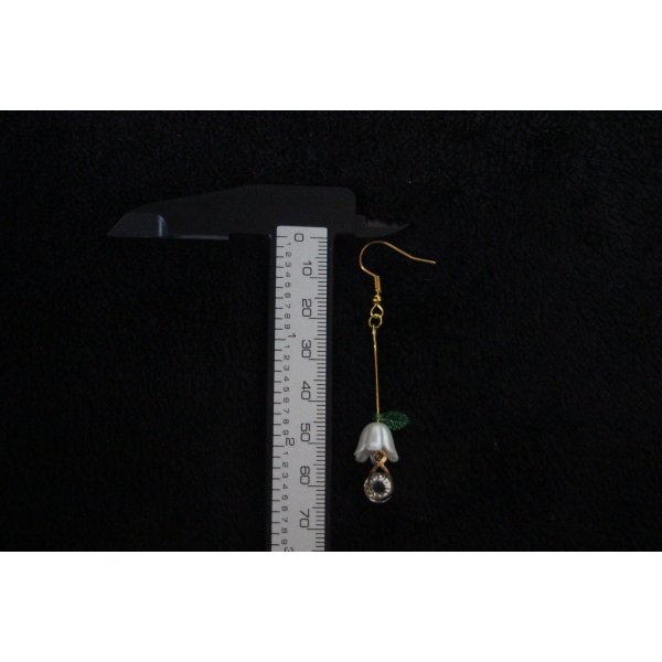 IMG_4497 Winifred Elegant